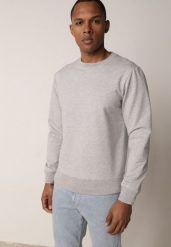 Szara Bluza o Klasycznym Kroju z Bawełną Merinne. Szare bluzy bez kaptura męskie Born2be, l, z bawełny. Za 89.99 zł.