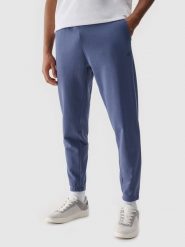 4F Spodnie dresowe joggery męskie - niebieskie XL. Niebieskie spodnie dresowe męskie 4f, bez wzorów, z bawełny. Za 149.99 zł.
