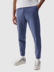 4F Spodnie dresowe joggery męskie - niebieskie S. Niebieskie spodnie dresowe męskie 4f, bez wzorów, z bawełny. Za 149.99 zł.