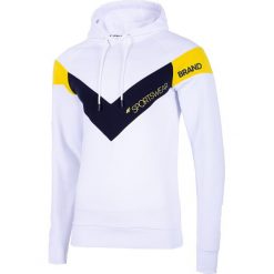 Bluza męska BLM219 - biały. Białe bluzy z kapturem męskie 4f, m, z dzianiny. W wyprzedaży za 79.99 zł.