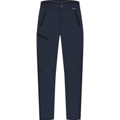 Pantalon Regatta Xert Stretch Z/O. Brązowe szorty męskie Regatta, bez wzorów, z elastanu. Za 349.99 zł.