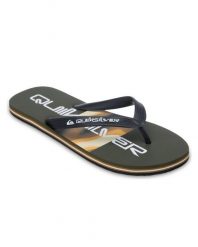 Klapki dla Mężczyzn MOLOKAI STRIPE Zielony. Zielone klapki i japonki męskie Quiksilver, z gumy. Za 66.49 zł.