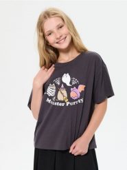 Bawełniana koszulka z nadrukiem Pusheen the Cat - szary. Szare koszulki dziewczęce Sinsay, l, bez wzorów, z bawełny, bez ramiączek. Za 15.99 zł.