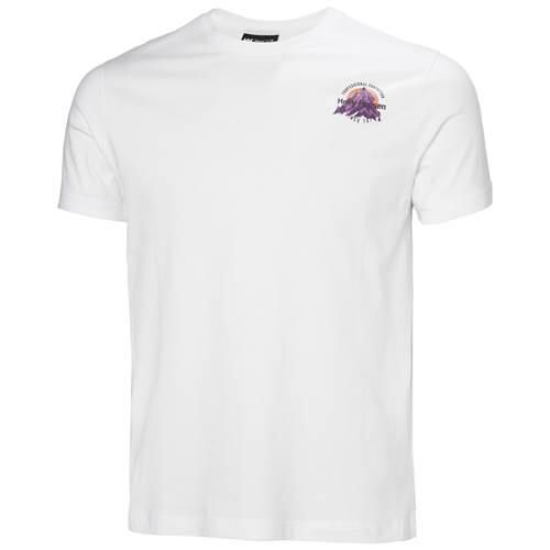 Koszulka sportowa męska Helly Hansen Core Graphic 2.0. Białe t-shirty sportowe męskie Helly Hansen, m, z bawełny, bez ramiączek. Za 231.00 zł.