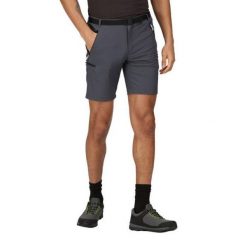 Szorty sportowe Góra Regatta Xert StrShort III Szary. Szare szorty męskie Regatta, xs, trekkingowe. W wyprzedaży za 199.99 zł.