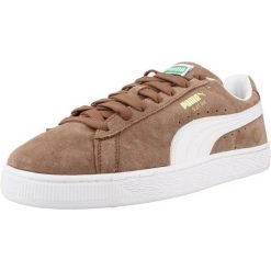 Buty PUMA YELLOW 39978141 Brązowy. Brązowe buty fitness męskie Puma, na fitness i siłownię. Za 357.99 zł.