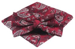 Mucha Męska z Poszetką - Alties - Czerwona, Wzór Paisley. Czerwone krawaty i muchy męskie Alties, bez wzorów, eleganckie. Za 54.00 zł.