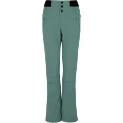 Spodnie narciarskie dla kobiet Protest Lullabyos. Zielone spodnie materiałowe damskie Protest, bez wzorów, sportowe. Za 611.50 zł.