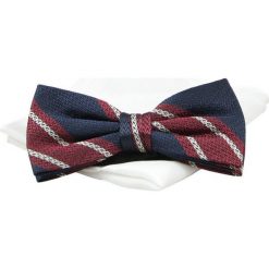 Mucha Jedwabna Granatowo-Bordowa w Paski z Białą Poszetką, Elegancka, Męska -CHATTIER. Czerwone krawaty i muchy męskie Chattier, bez wzorów, z jedwabiu, eleganckie. Za 79.00 zł.