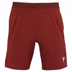 Spodenki tenisowe męskie Tecnifibre Team Short. Białe szorty męskie TECNIFIBRE, bez wzorów, sportowe. Za 180.00 zł.