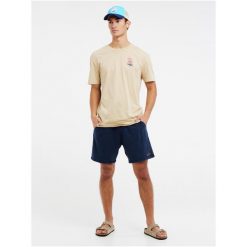 Koszulka męska Protest PRTVANUA t-shirt. Brązowe t-shirty męskie Protest, m, bez wzorów, bez kołnierzyka. Za 129.99 zł.