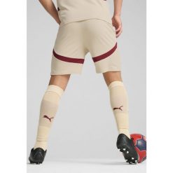 Męskie szorty FC Red Bull Salzburg 24/25 PUMA Granola Team Regal Red Beige. Brązowe szorty męskie Puma, bez kołnierzyka. W wyprzedaży za 109.00 zł.