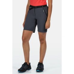 Spodenki trekkingowe damskie Xert Stretch. Szare szorty damskie Regatta, bez wzorów, z materiału, sportowe. W wyprzedaży za 169.99 zł.