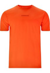 Koszulka Endurance Alan. Brązowe t-shirty sportowe męskie Endurance, l, z materiału, bez ramiączek, na fitness i siłownię. Za 124.40 zł.