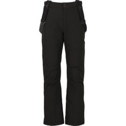 Spodnie narciarskie dla kobiet Whistler Portivo W-Pro 8000. Czarne spodnie dresowe damskie WHISTLER, na zimę, bez wzorów. Za 367.50 zł.