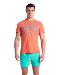 Koszulka męska T-shirt bawełniany sportowy na trening Arena Solid. Brązowe t-shirty męskie Arena, m, bez wzorów, z bawełny, bez kołnierzyka. Za 81.98 zł.