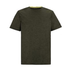 T-shirt Męski Melanżowy Fingal Edition. Zielone t-shirty męskie Regatta, l, bez wzorów, z jersey, bez kołnierzyka. Za 75.99 zł.