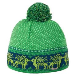 Czapka Kids Pampero zielona r. 54 (215340354). Zielone czapki dziecięce VIKING, bez wzorów. Za 99.90 zł.