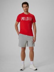 4F Spodenki kibica męskie - szare XXL. Szare szorty męskie 4f, z dresówki, bez kołnierzyka. Za 149.99 zł.