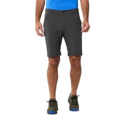 Szorty Lafuma Active. Szare szorty męskie Lafuma, m, z elastanu, trekkingowe. Za 358.00 zł.