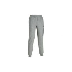 Spodnie dresowe Gym & Pilates męskie. Szare spodnie sportowe męskie Puma, z bawełny. Za 159.99 zł.
