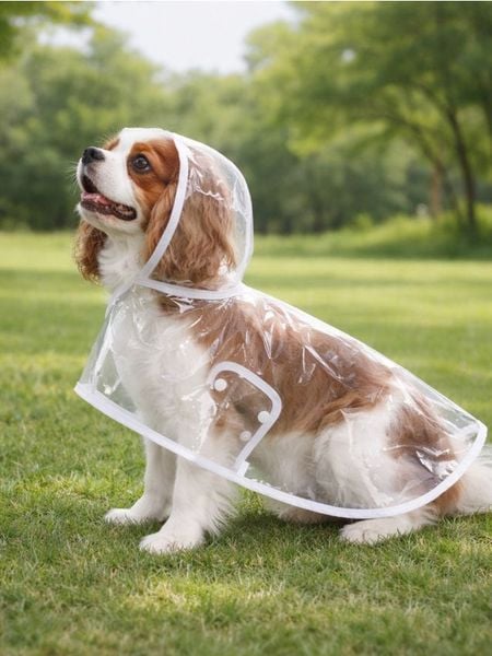 Płaszcz przeciwdeszczowy dla psa - biały. Białe płaszcze damskie Sinsay, l, bez wzorów. Za 12.99 zł.