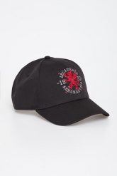 Czapka z daszkiem męska AERONAUTIA MILITARE. Czapki męskie AERONAUTICA MILITARE, bez wzorów. W wyprzedaży za 186.75 zł.