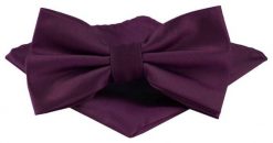 Mucha Męska w Zestawie z Poszetką - Alties - Burgundowa. Czerwone krawaty i muchy męskie Alties, bez wzorów, eleganckie. Za 65.00 zł.