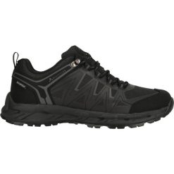 Buty trekkingowe Whistler Cardiff. Czarne buty trekkingowe męskie WHISTLER, z gumy, bez zapięcia, trekkingowe. Za 344.50 zł.