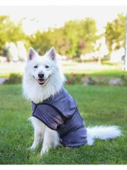 Paws&Whiskers Szlafrok w kolorze szarym dla psa rozmiar: M. Szare szlafroki męskie Paws&Whiskers, m, bez wzorów, z materiału. Za 169.99 zł.