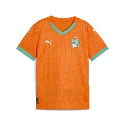 Młodzieżowa koszulka domowa Wybrzeże Kości Słoniowej 2025 PUMA. Brązowa bluzki damskie Puma, m, z aplikacjami, eleganckie, bez kołnierzyka, bez ramiączek. Za 329.00 zł.