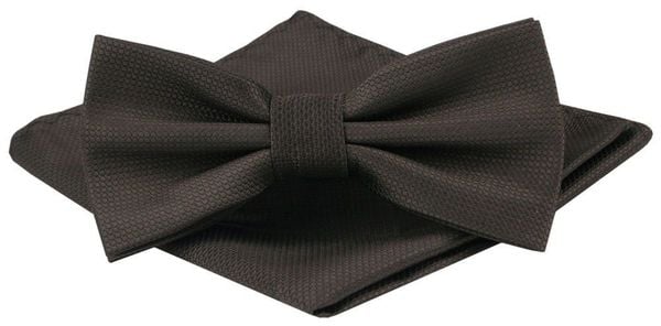 Mucha Męska z Poszetką - Alties - Ciemny Brąz, Drobna Faktura. Krawaty i muchy męskie Alties, bez wzorów, eleganckie. Za 54.00 zł.