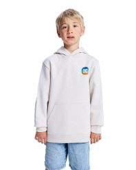 Bluza z kapturem dla Chłopcy SHAPE OR DESTROY Beżowy. Brązowe bluzy z kapturem męskie DC Shoes, m, z bawełny. Za 153.99 zł.