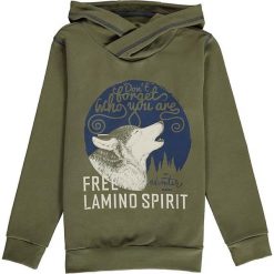 Bluza w kolorze khaki. Brązowe bluzy chłopięce Lamino, bez wzorów, z materiału, bez ramiączek, bez kaptura. W wyprzedaży za 59.95 zł.