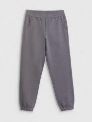 4F Spodnie dresowe joggery damskie - szare S. Szare spodnie dresowe damskie 4f, s, bez wzorów, z dresówki. Za 129.99 zł.