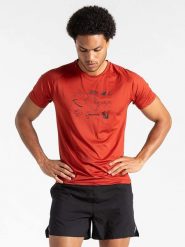 Dare 2b Koszulka sportowa "Tech" w kolorze pomarańczowym rozmiar: L. Pomarańczowe t-shirty sportowe męskie Dare 2b, l, bez ramiączek, outdoorowe. Za 74.63 zł.