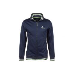 Bluza z polaru Shell Peak Mountain Creen. Niebieskie bluzy bez kaptura męskie Peak Mountain, z polaru. W wyprzedaży za 276.00 zł.