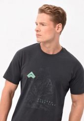 Bawełniany t-shirt, Comfort Fit, T-LITT. Szare t-shirty męskie Volcano, l, bez wzorów, z bawełny, bez kołnierzyka. Za 69.99 zł.