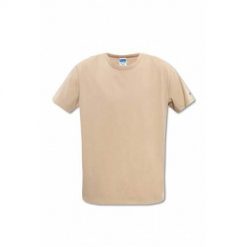 Koszulka sportowa męska Champion X Todd Snyder. Brązowe t-shirty sportowe męskie CHAMPION, m, bez ramiączek. Za 362.00 zł.