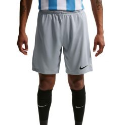 Spodenki męskie Nike Dry Park III NB K. Szare szorty męskie Nike, z poliesteru, bez kołnierzyka. Za 66.99 zł.