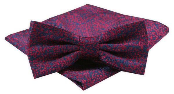 Mucha Męska z Poszetką w Zestawie - Alties - Czerwona z Niebieskim. Czerwone krawaty i muchy męskie Alties, bez wzorów, eleganckie. Za 54.00 zł.
