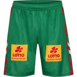 Krótki domowy strój FC Magdeburg 2025/26. Zielone szorty męskie HUMMEL, bez wzorów, sportowe. Za 197.00 zł.