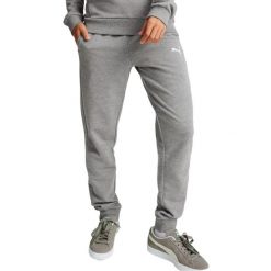 Damskie Spodnie Do Biegania Team Goal Casuals. Szare spodnie materiałowe damskie Puma, bez wzorów, z bawełny. Za 139.00 zł.