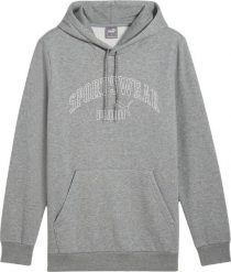 Bluza sportowa męska Puma Ess Logo LAB Gradient Hoodie FL. Szare bluzy sportowe męskie Puma, l, z bawełny. Za 179.00 zł.