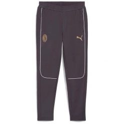 Spodnie Puma Acm Casuals Dorosłych. Szare spodnie materiałowe męskie Puma, z bawełny. Za 287.99 zł.