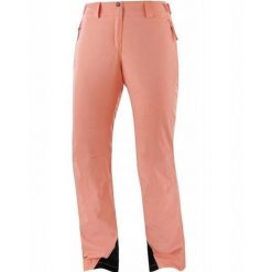 Spodnie zimowe na narty i snowboard damskie Salomon THE BRILLIANT. Brązowe spodnie dresowe damskie Salomon, bez wzorów, z elastanu, sportowe. Za 339.00 zł.
