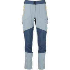 Spodnie trekkingowe damskie Whistler Saldon. Niebieskie spodnie dresowe damskie WHISTLER, l, bez wzorów. Za 299.99 zł.