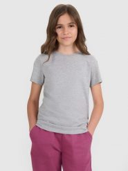 4F T-shirt regular gładki dziewczęcy - szary 146 (10-11 lat). Szare koszulki dziewczęce 4f, m, bez wzorów, z bawełny, bez ramiączek. Za 29.99 zł.