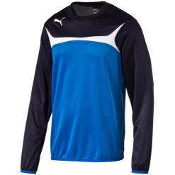 PUMA Esito 3 Training Sweat bluza męska. Niebieskie bluzy bez kaptura męskie Puma, m, z materiału. Za 65.99 zł.