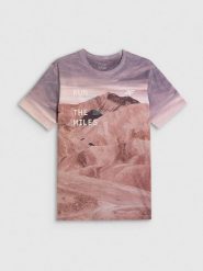 4F T-shirt regular z nadrukiem męski - multikolor XL. T-shirty męskie 4f, m, bez wzorów, z materiału, bez kołnierzyka. Za 99.99 zł.